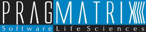 Pragmatrix Logo - High Res PNG (1)